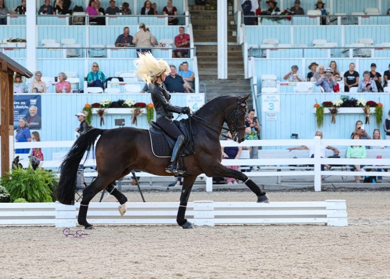 2025 Dressage at Devon Dance Off
