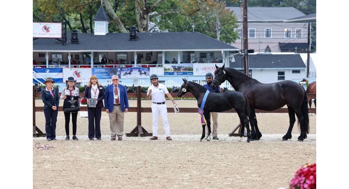Valentine ISF - ProElite/USDF Current Year Foal Final. (Photo: Susan J. Stickle Photography)
