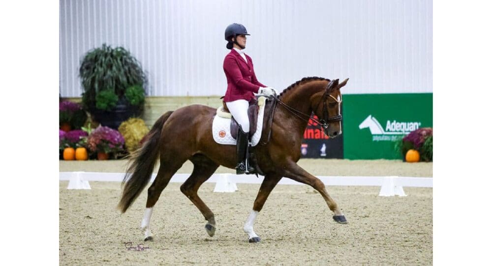 Kymmy Pullen and Mojito