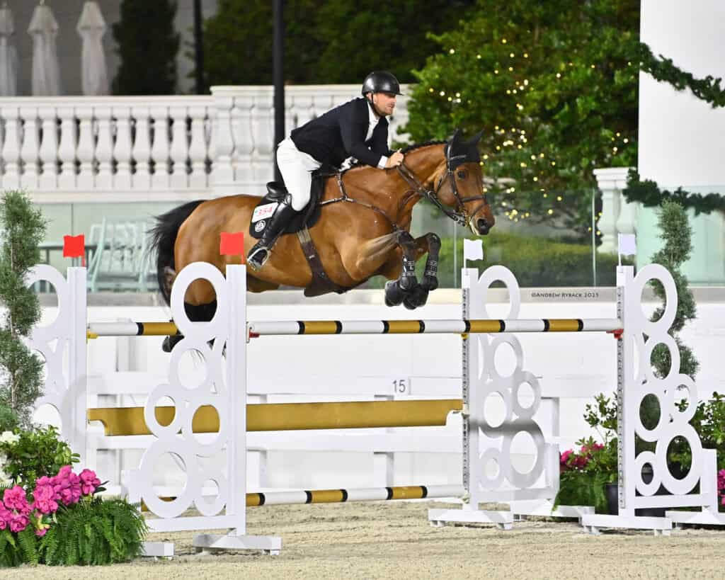 Dylan Daly & Cinderella Z