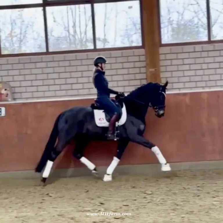 EscaHit HW trot1 768x768