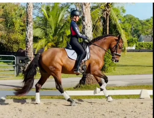 Princesa Canter Right HM25 Dec.png 1