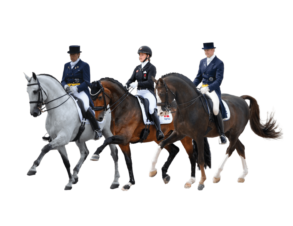 2026 Dressage Infusion Master Class