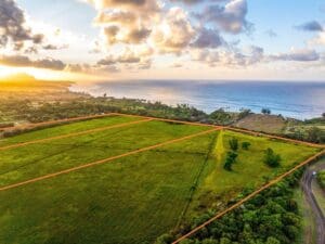 13.-KAUAPEA-RDKilauea-HI-96754