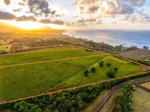 14.-KAUAPEA-RDKilauea-HI-96754
