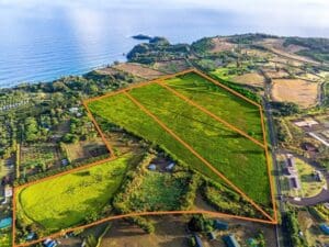 4.-KAUAPEA-RDKilauea-HI-96754