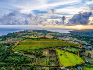 5.-KAUAPEA-RDKilauea-HI-96754