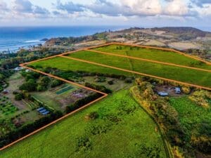 9.-KAUAPEA-RDKilauea-HI-96754