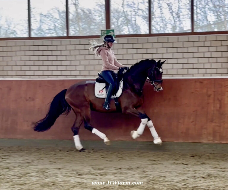 Armani Canter HM26 Jan 768x641