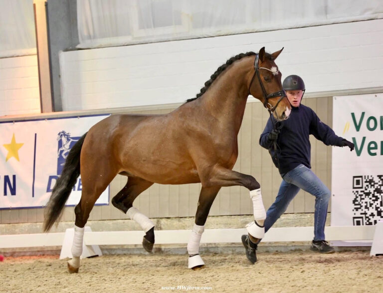 Armani Trot in Hand HM26 Jan 768x587