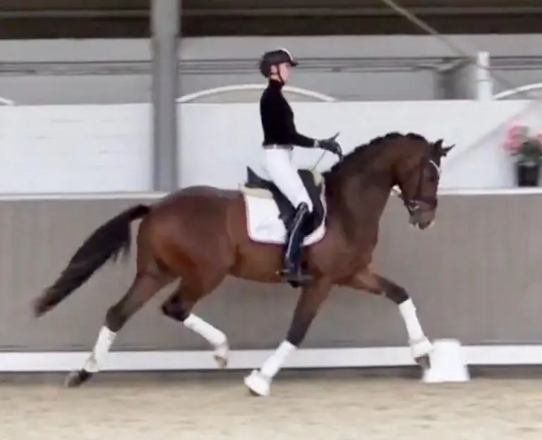 Cover Armani Trot Main HM26 Jan 768x624