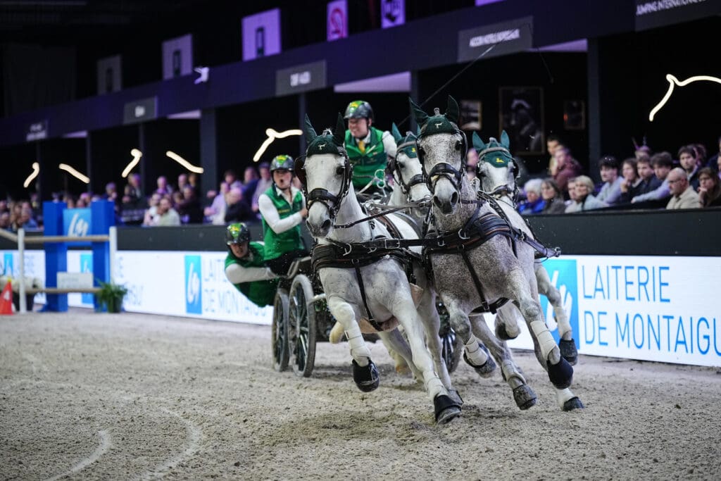 Bram Chardon (NED) at the FEI Driving World Cup™ Final 2026 - Bordeaux (FRA (Photo: ©FEI/©Artiste-Associé Photographes)