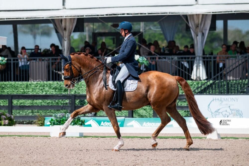 Julio Mendoza Loor & Jewel’s Goldstrike. (Photo: ©Centre Line Media)