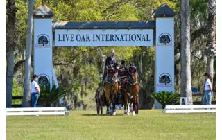 Live Oak International