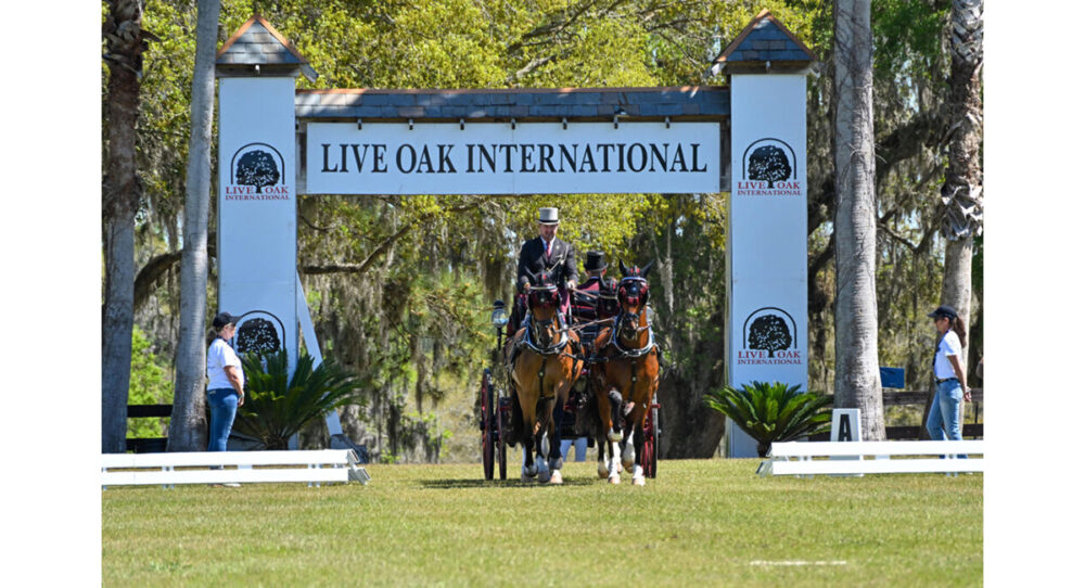 Live Oak International