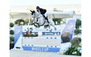 David Whitaker and Millfield Colette