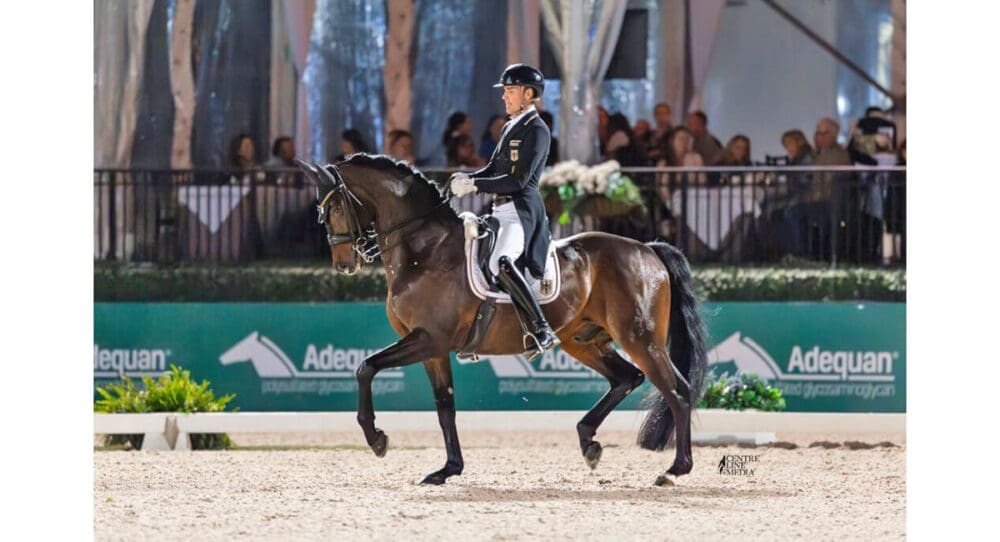 Frederic Wandres and Verrenberg