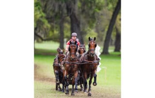 Chester Weber at Live Oak International