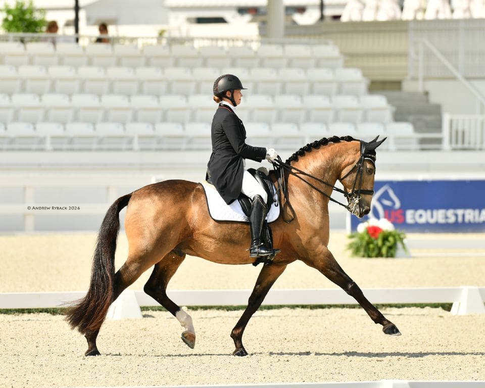 Denielle Gallagher and Come Back de Massa