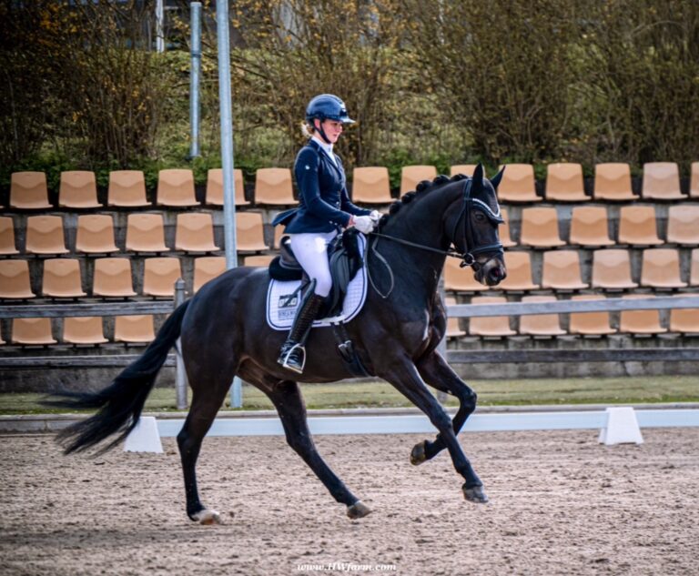 EscaHit HW show canter1 768x633