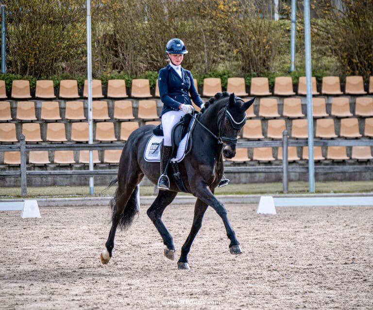 EscaHit HW show trot1 768x639