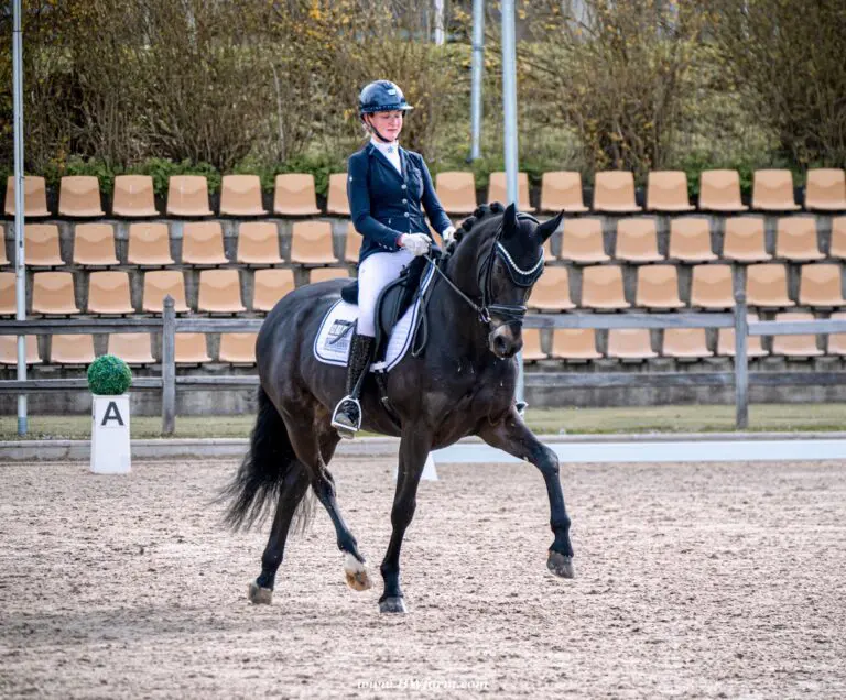 EscaHit HW show trot2 768x636