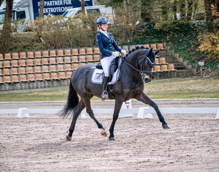 EscaHit HW show trot3 768x603