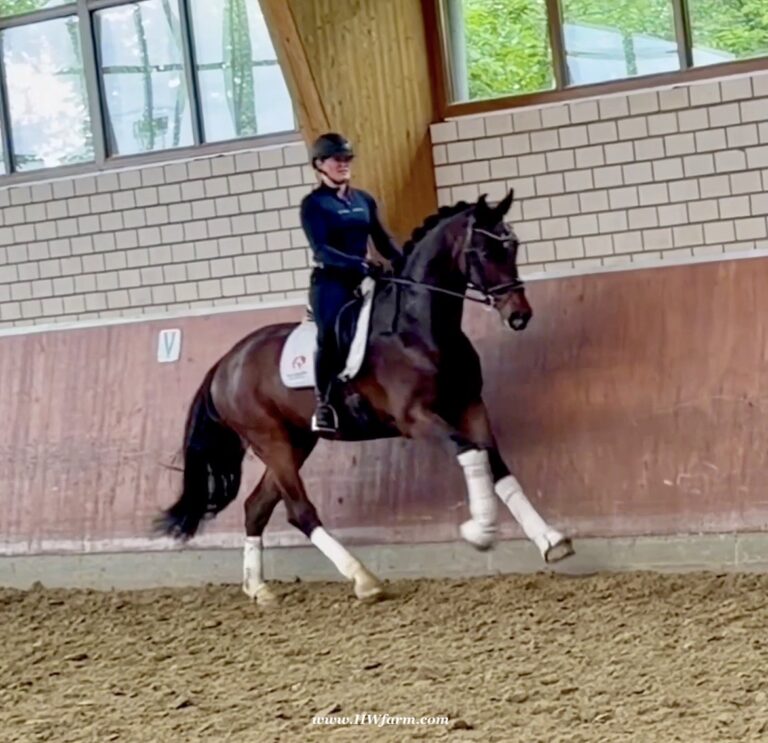 Ferrero HW canter1 768x743