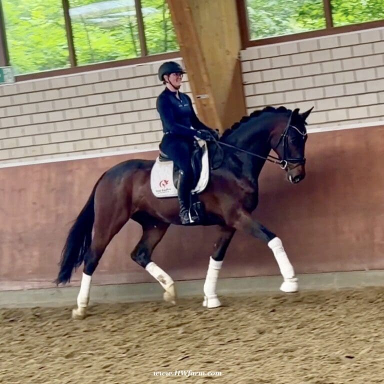 Ferrero HW trot1 768x768