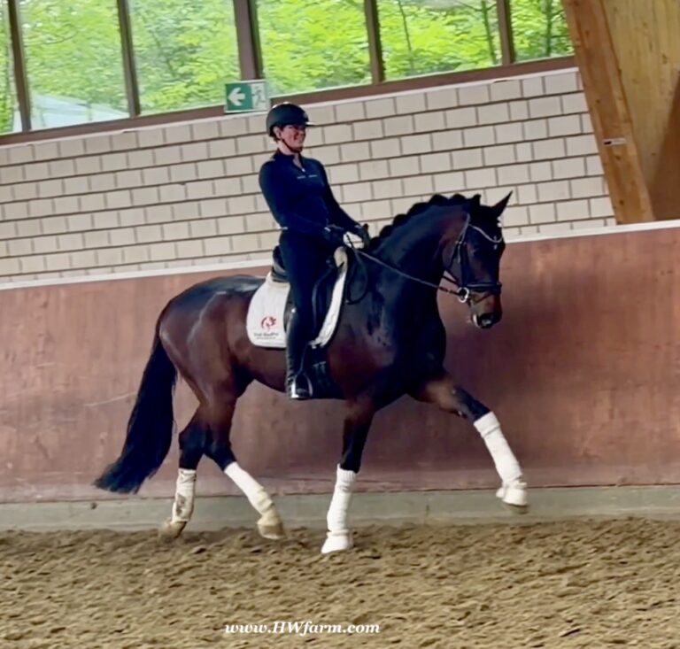 Ferrero HW trot2 768x733