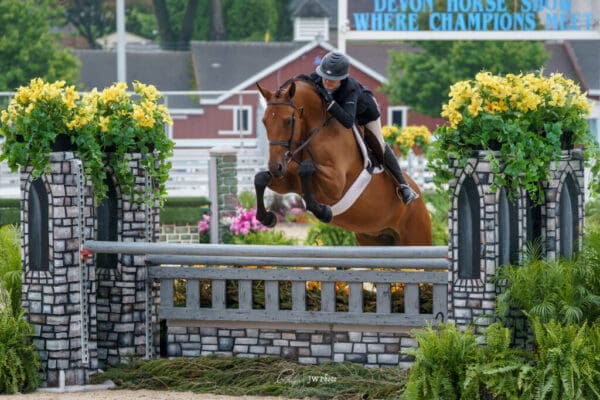 ODETTE Owned by John & Stephanie Ingram, LLC. Ridden by Victoria Colvin. Photo_Phelps Media Group