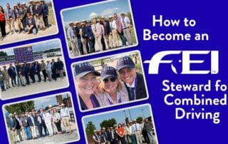 Collage of FEI Driving officials and stewards at national and international Combined Driving competitions with title How to Become an FEI Steward for Combined Driving.