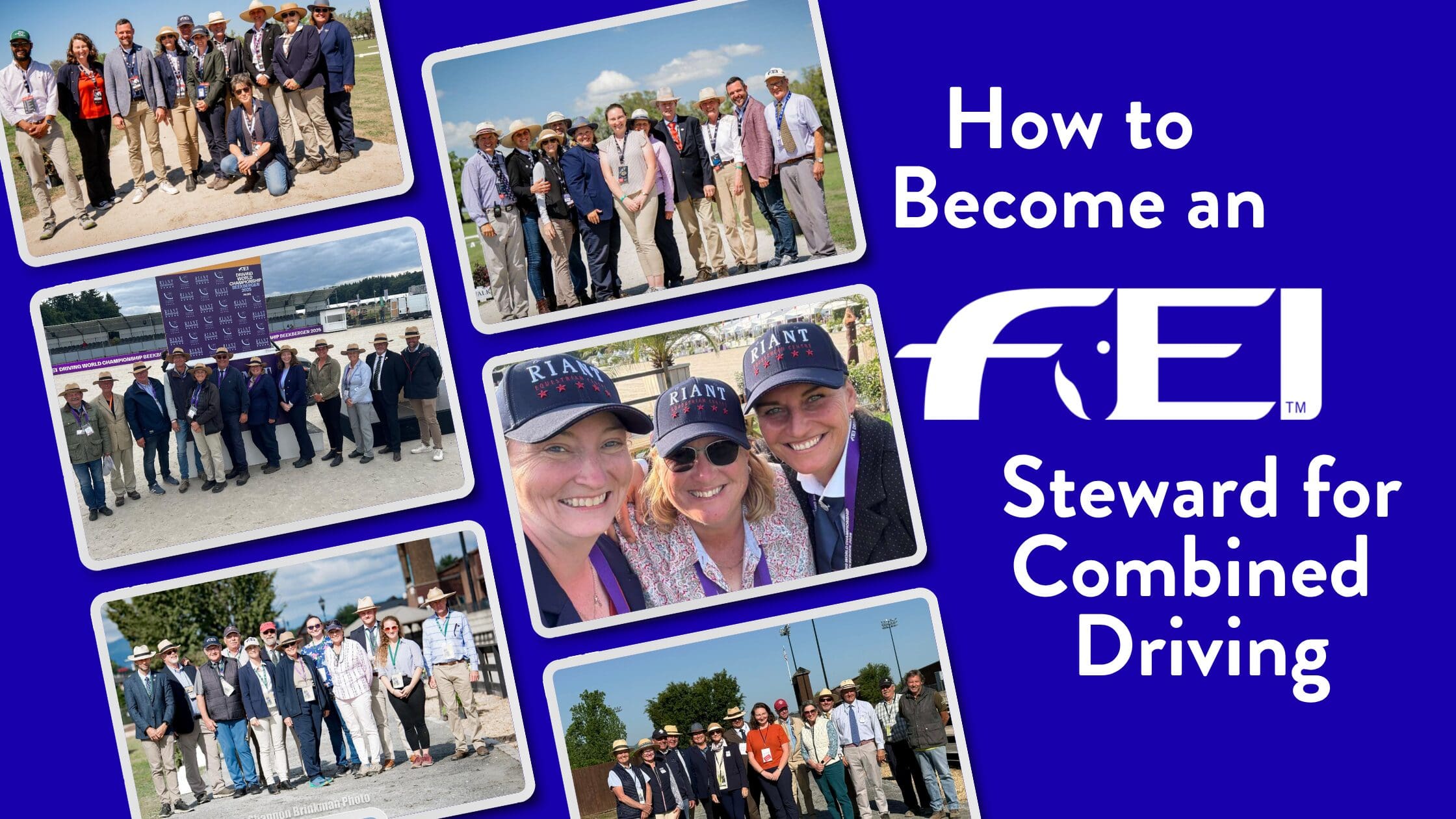 Collage of FEI Driving officials and stewards at national and international Combined Driving competitions with title How to Become an FEI Steward for Combined Driving.