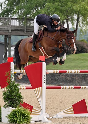 Daniel Bluman and Abigail Wexner’s 12-year-old Zangersheide gelding (VDL Harley x Hemmingway), Hummer Z Photo @ ESI Photography