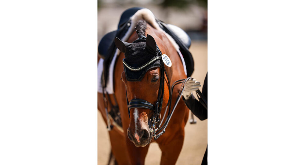 USEF Insider – The Thought Process Behind the Double Bridle Rule Change