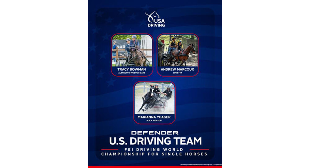 2026 FEI Driving World Championship for Single Horses Set to Begin in Munich