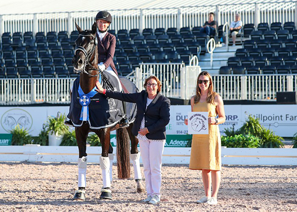 Alice Tarjan & Candescent