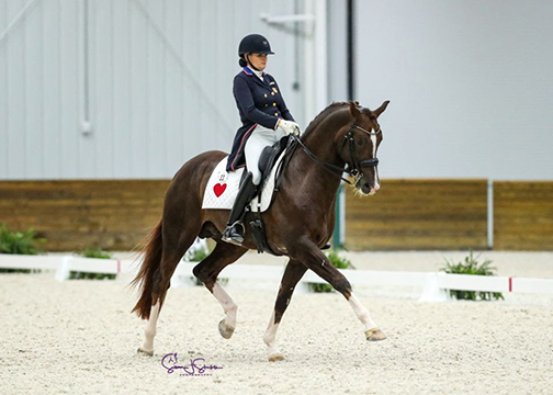 Ashley Holzer and Hansel