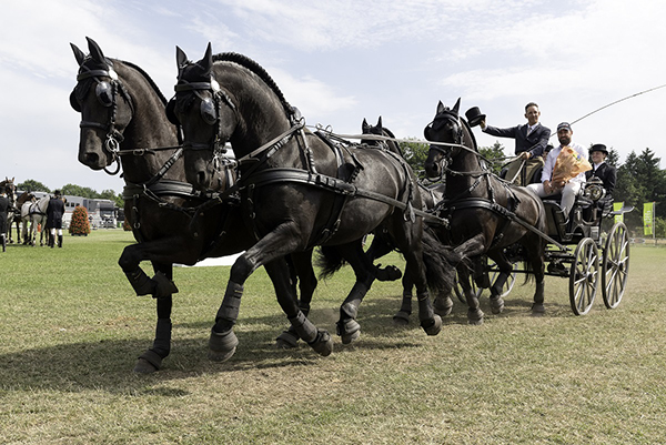 CAI Beekbergen - Benjamin Aillaud