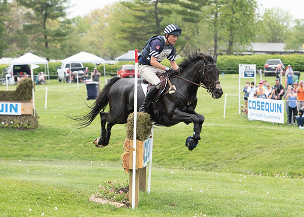 Boyd Martin and Tsetserleg TSF