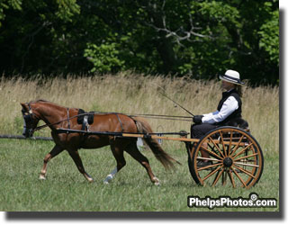 How it all began with Buddy