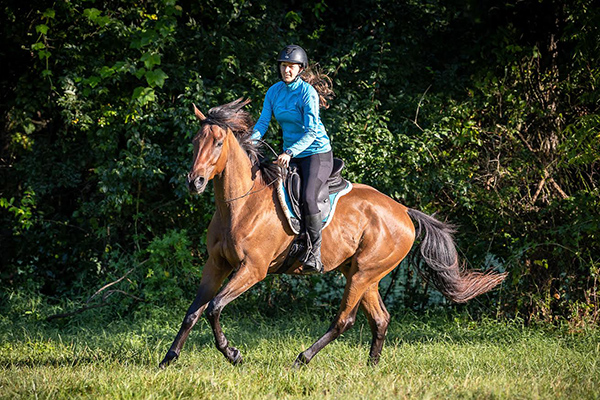 Lindsey riding Calloway King without a bridle.