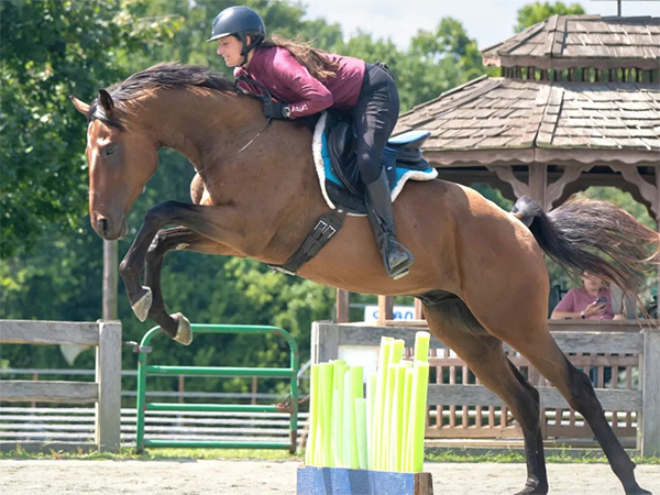 Lindsey jumping Calloway King without a bridle.