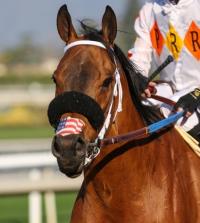 Camino Del Paraiso - Racing once again 2021