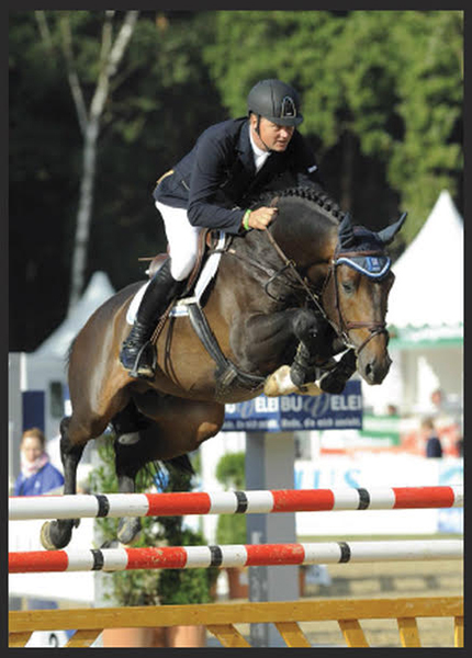 Lot 14 - Candola D (Caruso x Nistria I/Corisco)