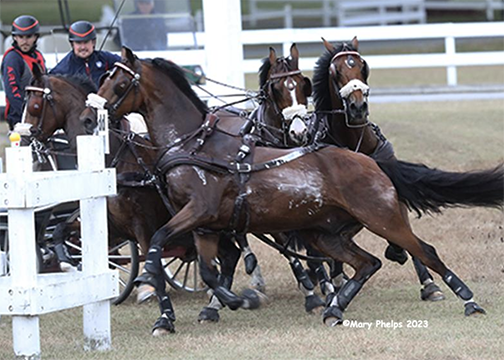 Chester Weber Ready for Windsor