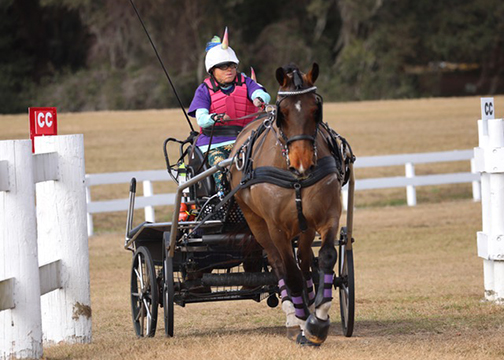 Chrissy Aitken and Prince Charming in Dressage