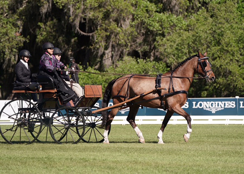 Chrissy Aitken and Prince Charming in Dressage