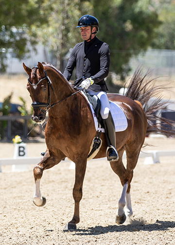 G.Q.'s 83.800% from judges Anne Cizaldo and Sarah Geikie continued a steady ascent for the Danish Warmblood by Grand Galaxy Win.