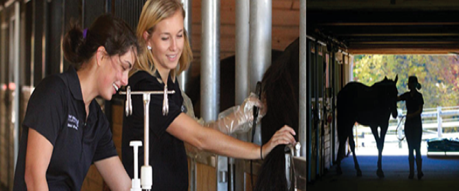 Delaware Valley University_A